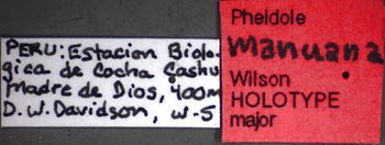 Media type: image;   Entomology 35179 Aspect: labels